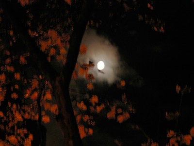 fall full moon