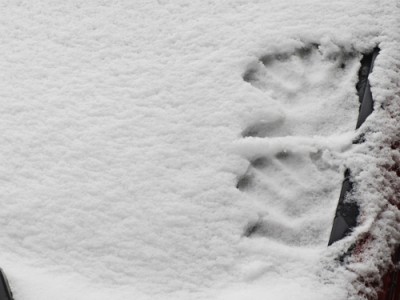 handprint in snow