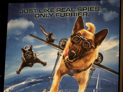 fur goggles dog and cat in goggles