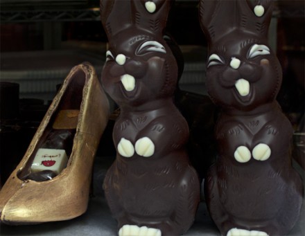 chocolate bunnies 2 chocolate bunnies in the window